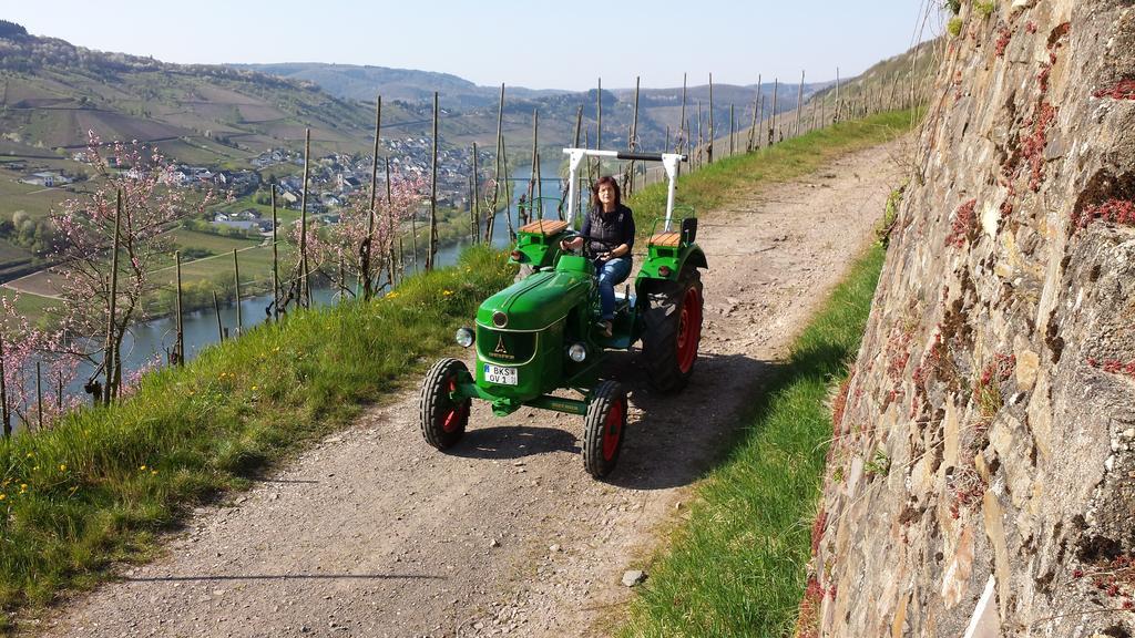 Weingut Hirschen Enkircherweg Burg  Værelse billede