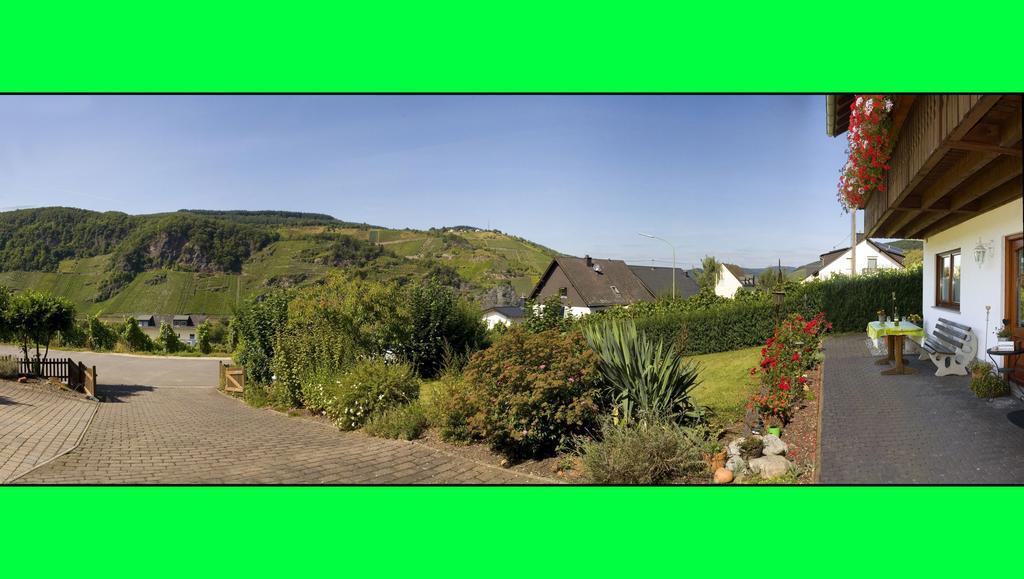 Weingut Hirschen Enkircherweg Burg  Eksteriør billede