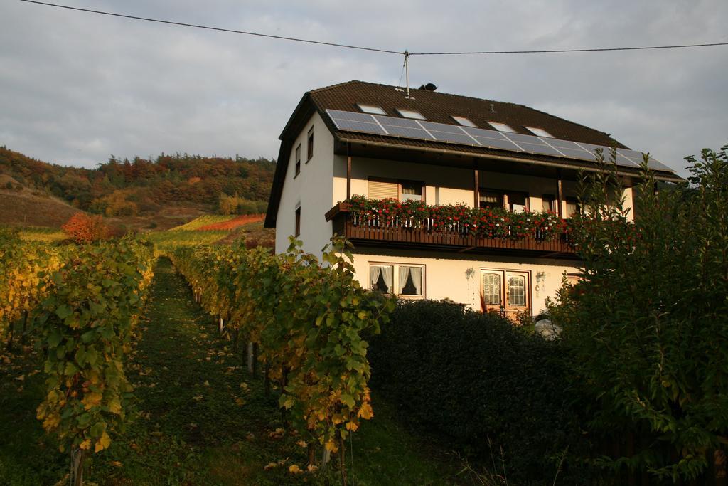 Weingut Hirschen Enkircherweg Burg  Eksteriør billede